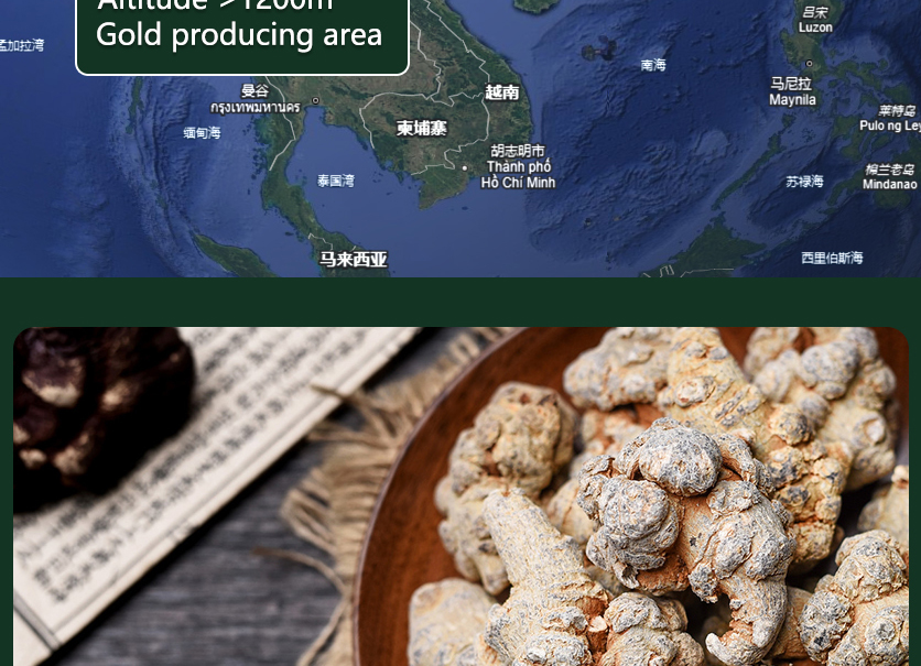 The unique charm of pure Wenshan Notoginseng, Wenshan Notoginseng