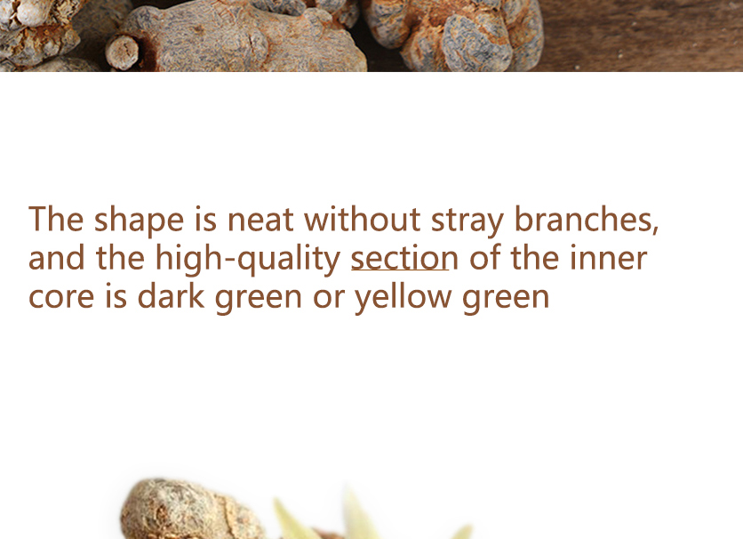 The unique charm of pure Wenshan Notoginseng, Wenshan Notoginseng