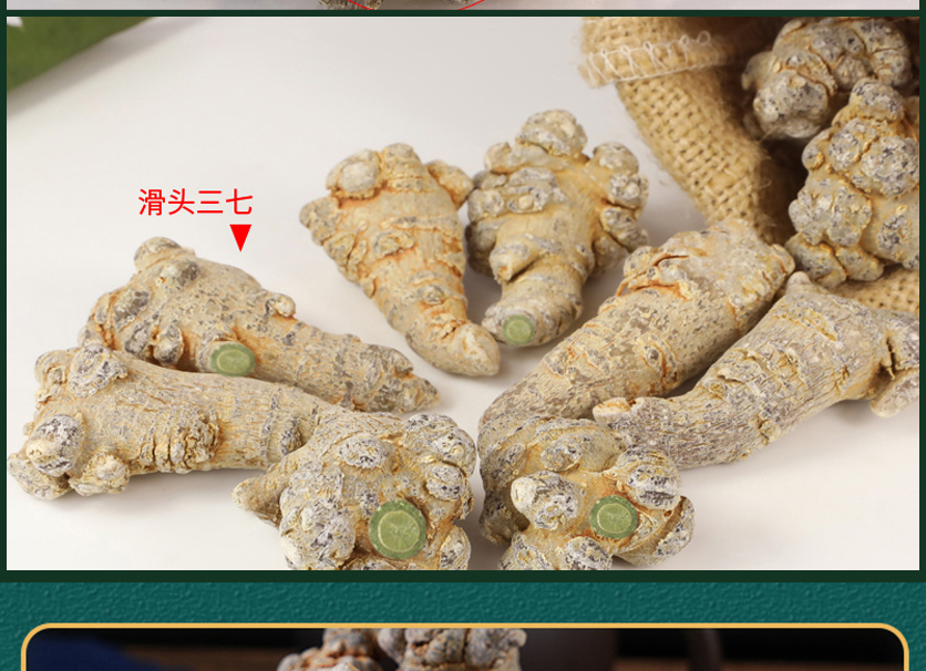 The unique charm of pure Wenshan Notoginseng, Wenshan Notoginseng